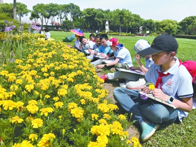 樹、花都是觀察對象 小學生做自然筆記成習慣