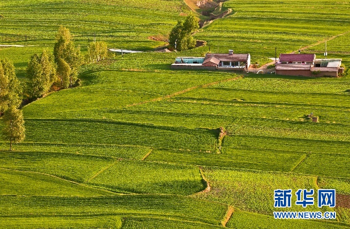 甘肅：夏日祁連山鄉村美景如畫