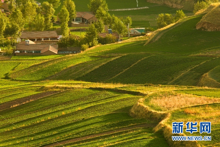 甘肅：夏日祁連山鄉村美景如畫