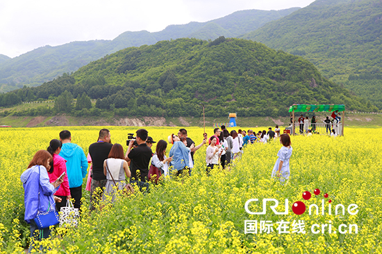 03【吉林】【原創】【圖説吉林】【CRI看吉林（標題+摘要）】【白山松水（大圖375 210）】【關東黑土（通化）】【移動版（圖）】千畝油菜花盛放 集安鴨綠江畔展現邊境宜人風光