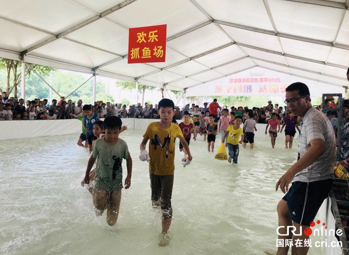 （加急）嘹歌唱響右江邊 雞豬混抓樂翻天 廣西平果端午系列活動趣味紛呈