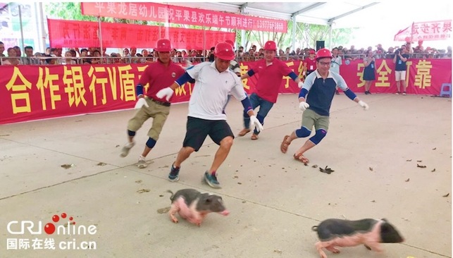 （加急）嘹歌唱響右江邊 雞豬混抓樂翻天 廣西平果端午系列活動趣味紛呈