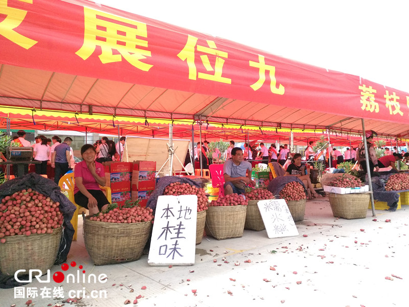 無邊欄【唐已審】【原創】【廣西要聞】【八桂大地、八桂大地-欽州】【焦點圖】【移動端-焦點圖】【旅遊文體】靈山秀水留人影  名優商品引客來