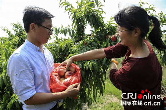 （供稿 旅遊列表 三吳大地泰州 移動版）泰州秋雪湖尚品生態樂活節啟幕