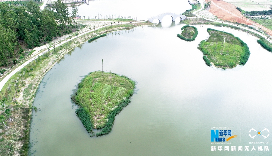 福建湄洲島“治水”展露生態美景