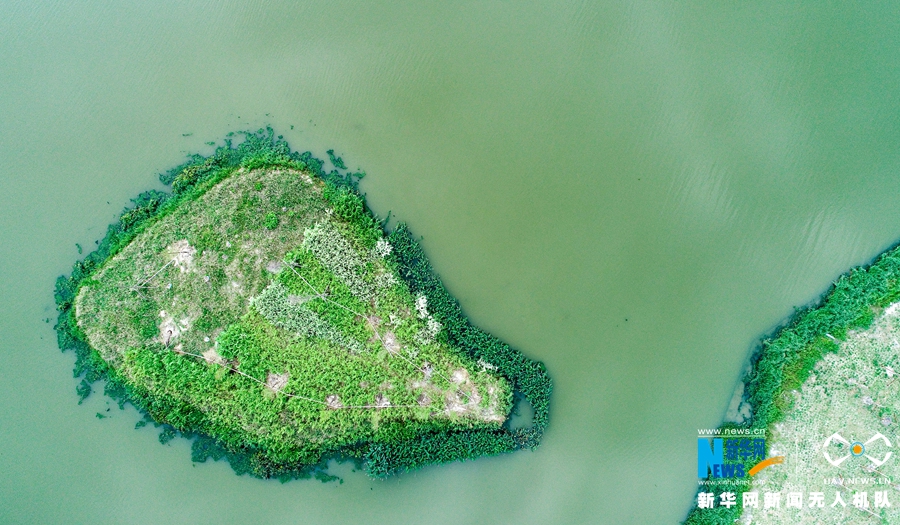 福建湄洲島“治水”展露生態美景