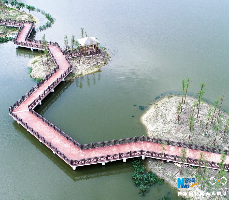 福建湄洲島“治水”展露生態美景