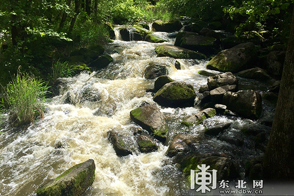 “2018中國兩極穿越”在嘉蔭感受大森林裏的小夏天