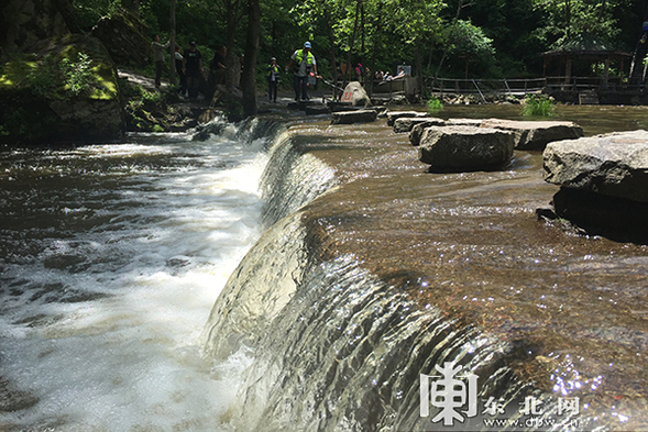 “2018中國兩極穿越”在嘉蔭感受大森林裏的小夏天