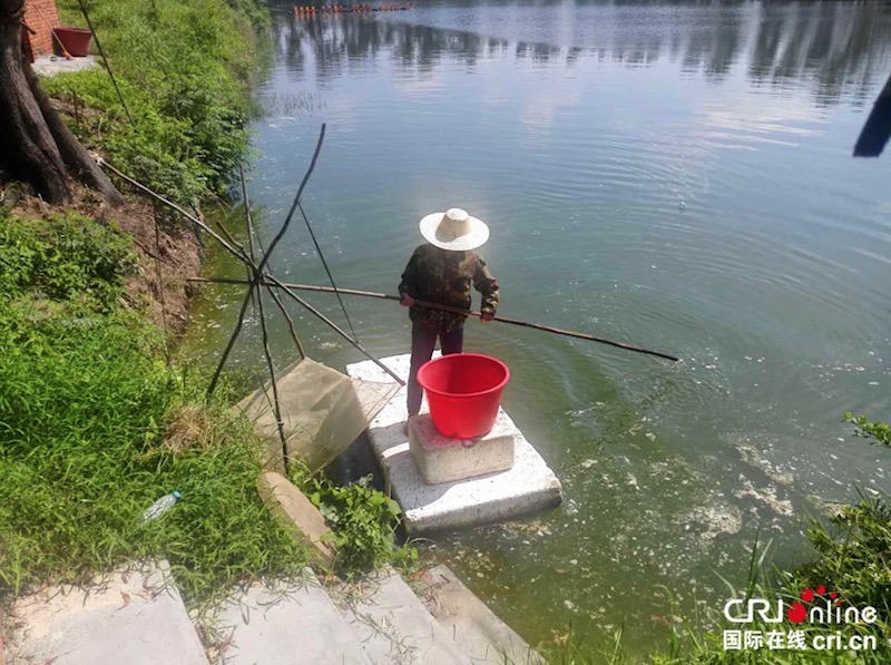 （加急）[唐已審][原創]沈曉鳴：鏗鏘玫瑰華麗變身“豬老闆”