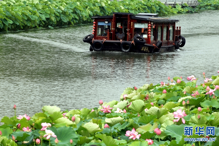 許昌：泛舟湖面賞荷花