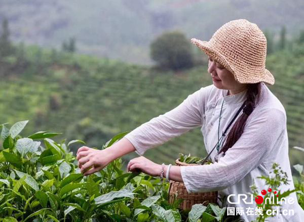 【唐已審】【原創】【八桂大地、八桂大地-百色】【金融投資】【焦點圖】【移動端-焦點圖】“紅城巾幗”扛起脫貧攻堅旗幟 ——記廣西百色市女能人協會會長羅予茹