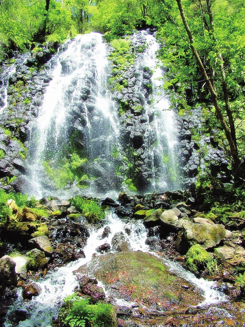 6月22日“長白山之夏”文化旅遊節啟幕