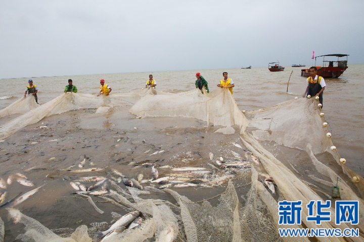 江西鄱陽湖“開漁節”受遊客青睞