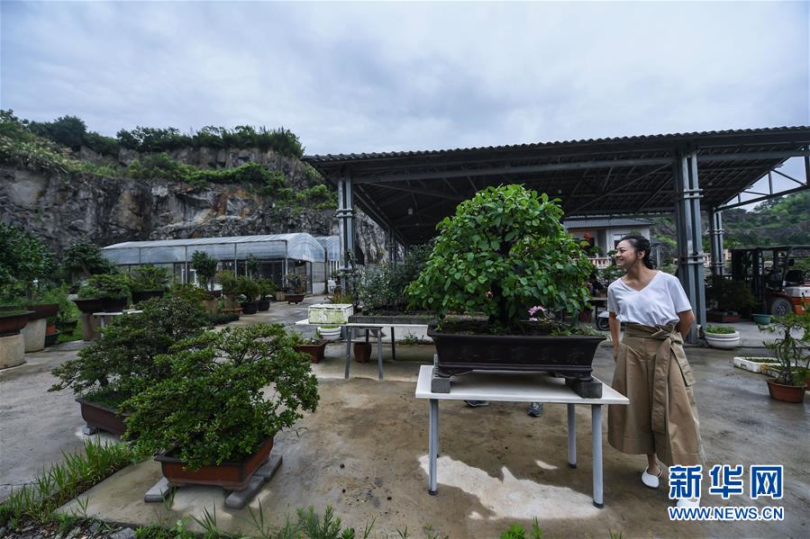 浙江湖州：廢棄礦山復綠變身生態公園