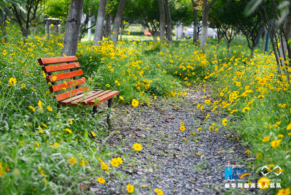 煤灰山變身濕地公園 航拍武漢青山戴家湖公園