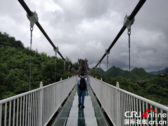 貴州百里杜鵑添新景  延長半年賞花期