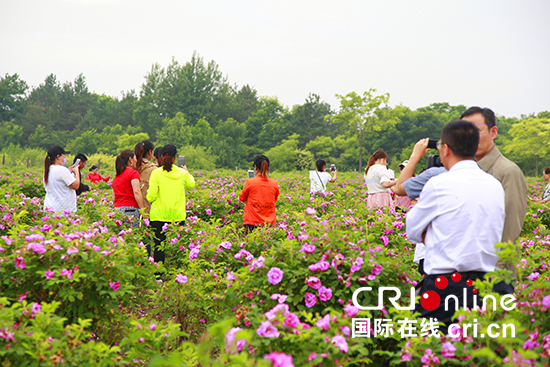 03【吉林】【原創】【圖説吉林】【CRI看吉林（標題）】【白山松水（標題+摘要）】【關東黑土（白山）】【移動版（圖）】白山市撫松縣第五屆農民文化節啟幕