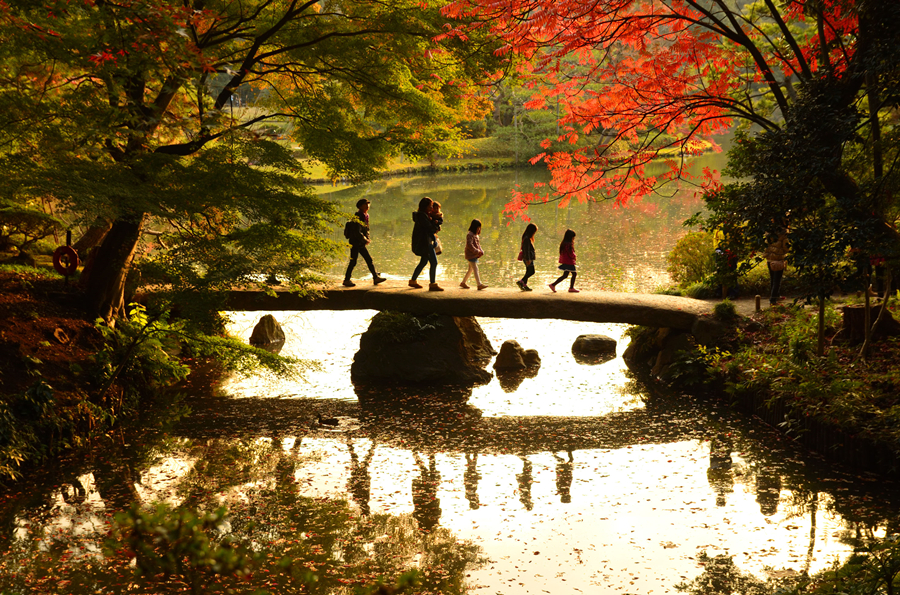 東京六義園_fororder_1_副本