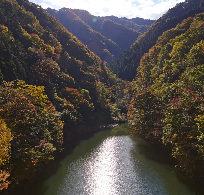 東京奧多摩湖_fororder_6_副本