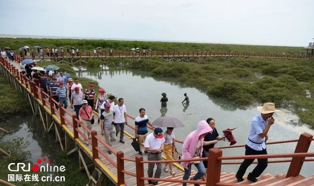 [唐已審]原創]全國烘焙專家聚焦合浦月餅小鎮建設