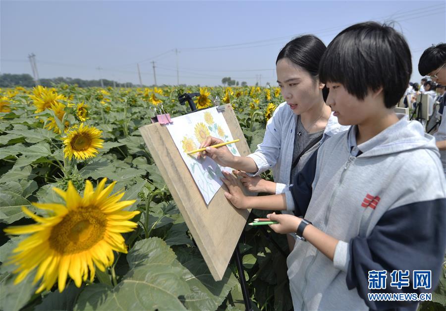 河北南宮：農旅融合助推鄉村振興