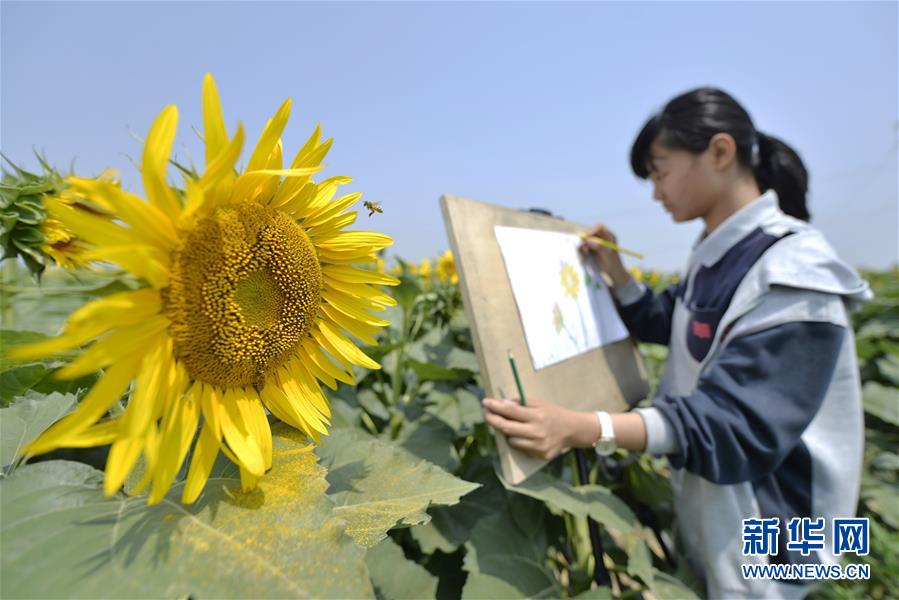 河北南宮：農旅融合助推鄉村振興