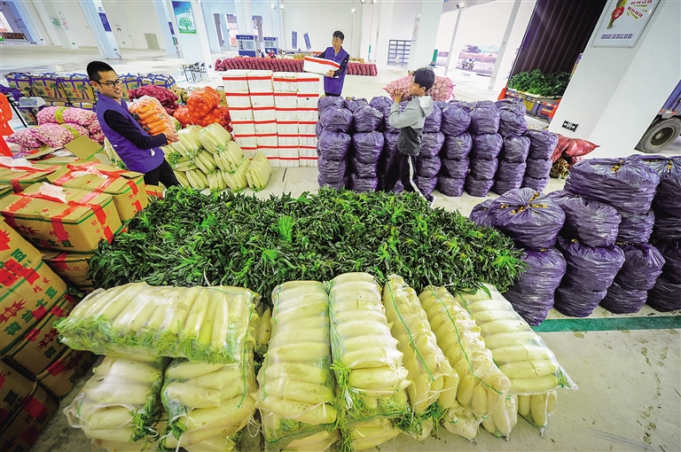 【焦點圖】【即時快訊】海口葉菜春節期間每日供應410噸