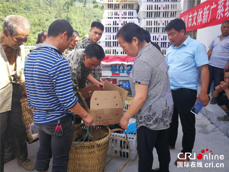 湖北太坪龍：1300隻雞苗“飛”進貧困戶家