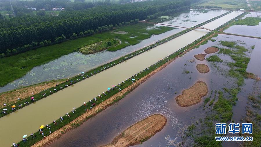 山東棗莊臺兒莊:大運河畔賽釣魚