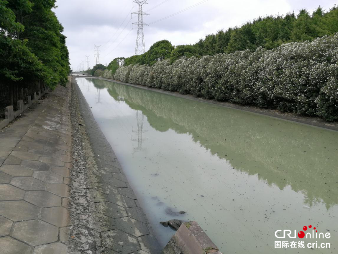 （原創 本網專稿 三吳大地南通 移動版）南通如東加大力度整治永豐河河流污染