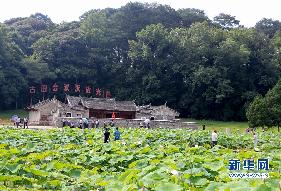 福建：古田會址荷花開