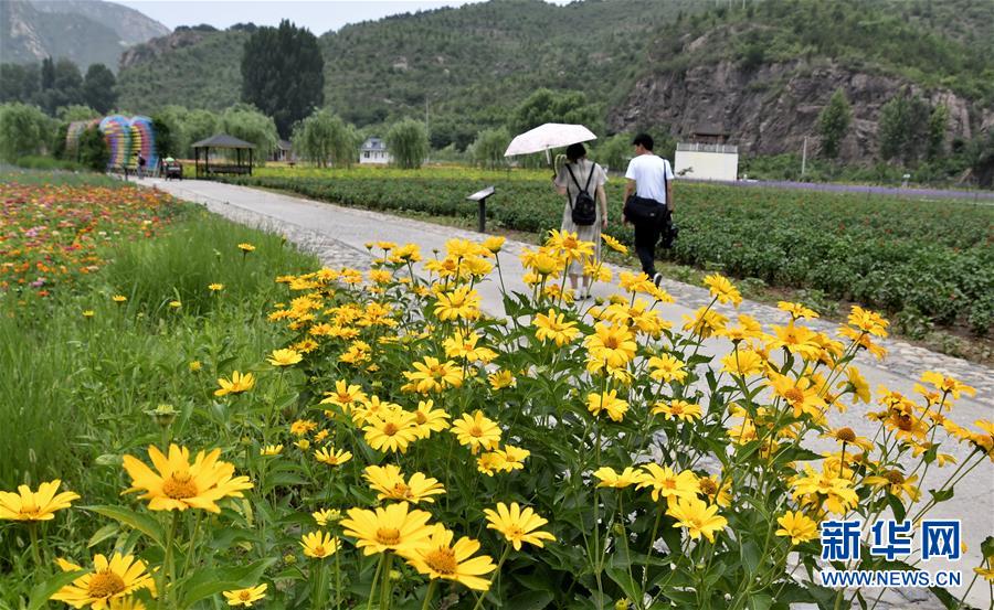 北京：山鄉花海遊人多