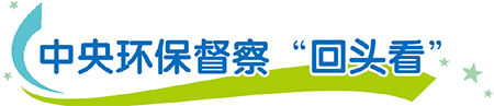 廣西多地黨政“一把手”狠抓“回頭看”督察整改