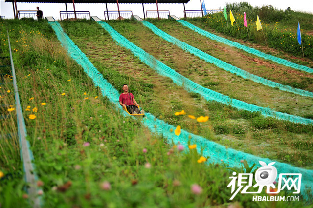 草原"滑場飛車" 體驗速度與激情