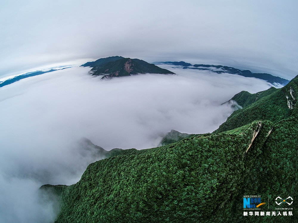 航拍瞿塘峽破曉雲海 赤甲峰如“海中小島”