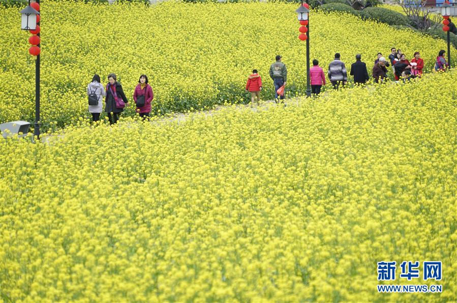 圖片默認標題