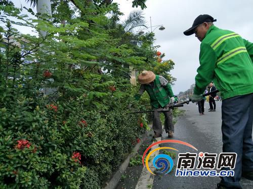 【瓊島動態圖文列表】【圖片文尾】新年開工第一天 瓊海園林工人給綠化帶“理髮”