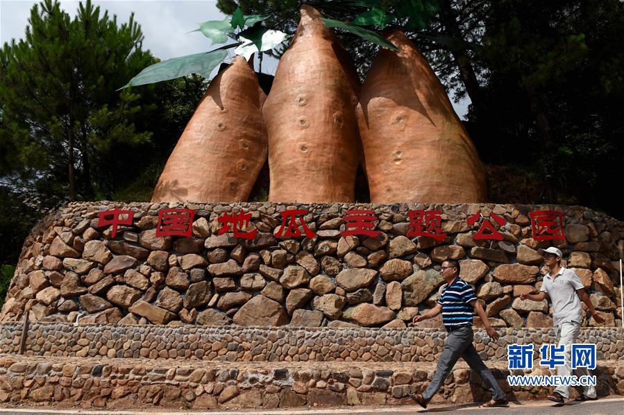 中國地瓜主題公園在閩西連城落成