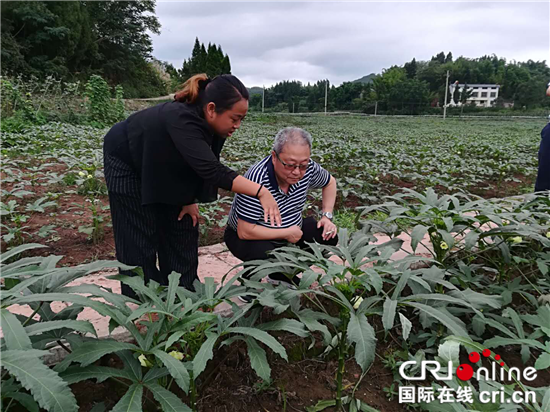 【區縣聯動】【大足】重慶大足區回龍鎮：人大代表為特色農業發展支招【區縣聯動 列表】大足回龍鎮：人大代表支招特色農業發展