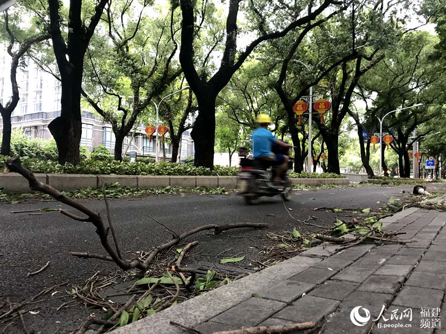 【焦點圖】颱風“瑪莉亞”登陸在即 狂風暴雨開始襲擊福建