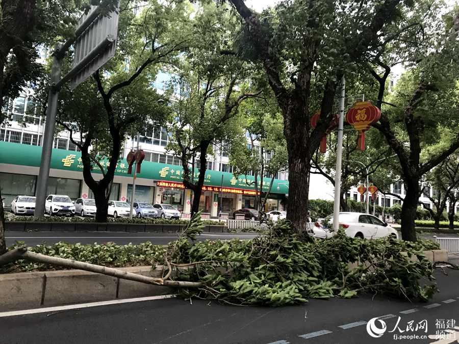 【焦點圖】颱風“瑪莉亞”登陸在即 狂風暴雨開始襲擊福建