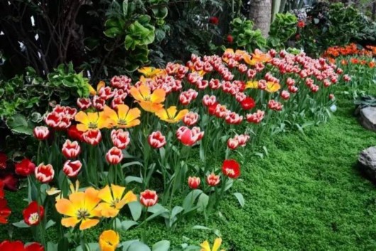 【旅遊小文字】“海盜船”亮相上海辰山植物園