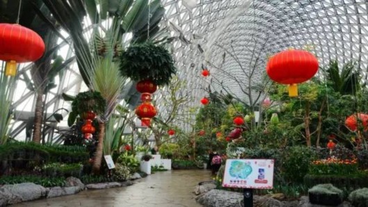 【旅遊小文字】“海盜船”亮相上海辰山植物園