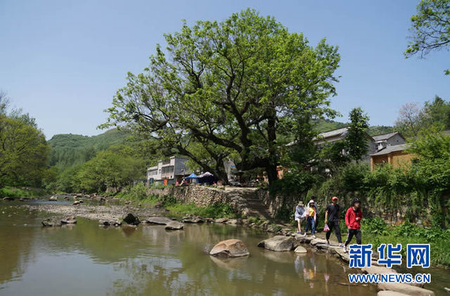 河南信陽：“多彩田園”激發鄉村脫貧振興動能