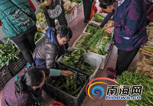 【食品農業】 菜價問題今年有變化 平價菜網點遍地開