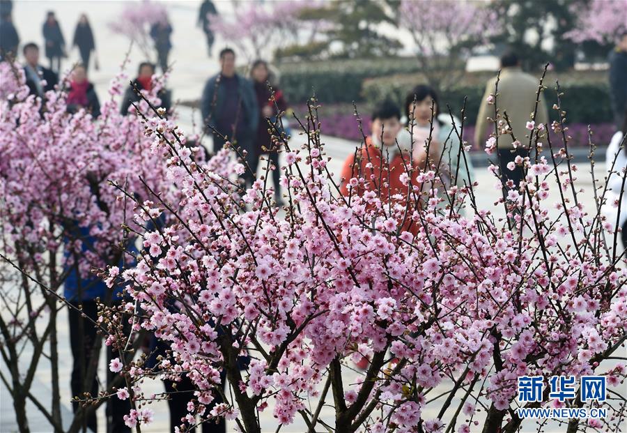 圖片默認標題