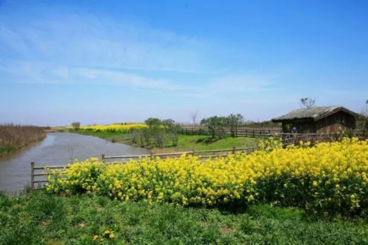 【旅遊大文字】隱藏在魔都的三生三世美景