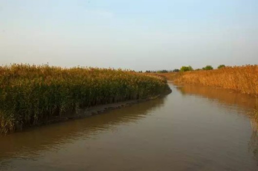 【旅遊大文字】隱藏在魔都的三生三世美景