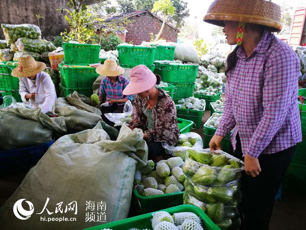 【食品農業】海口菜籃子集團扛起龍頭擔當